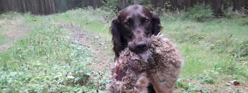 Wenja mit Hase