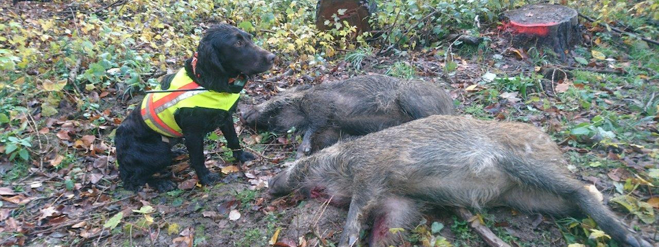 Wenja bei der Jagd