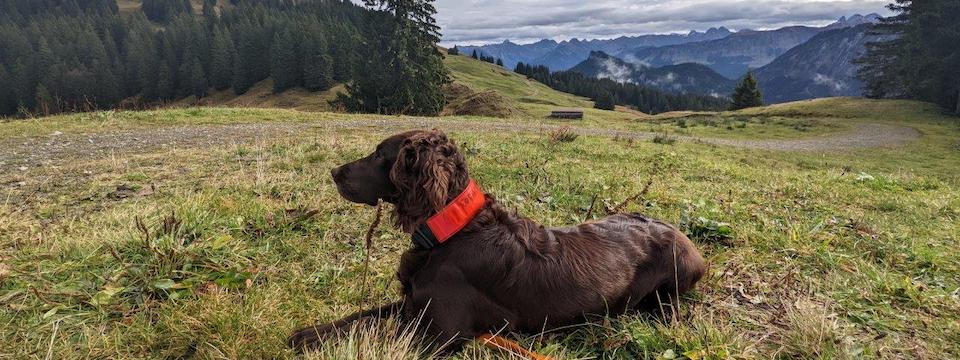 Wenja im Allgäu